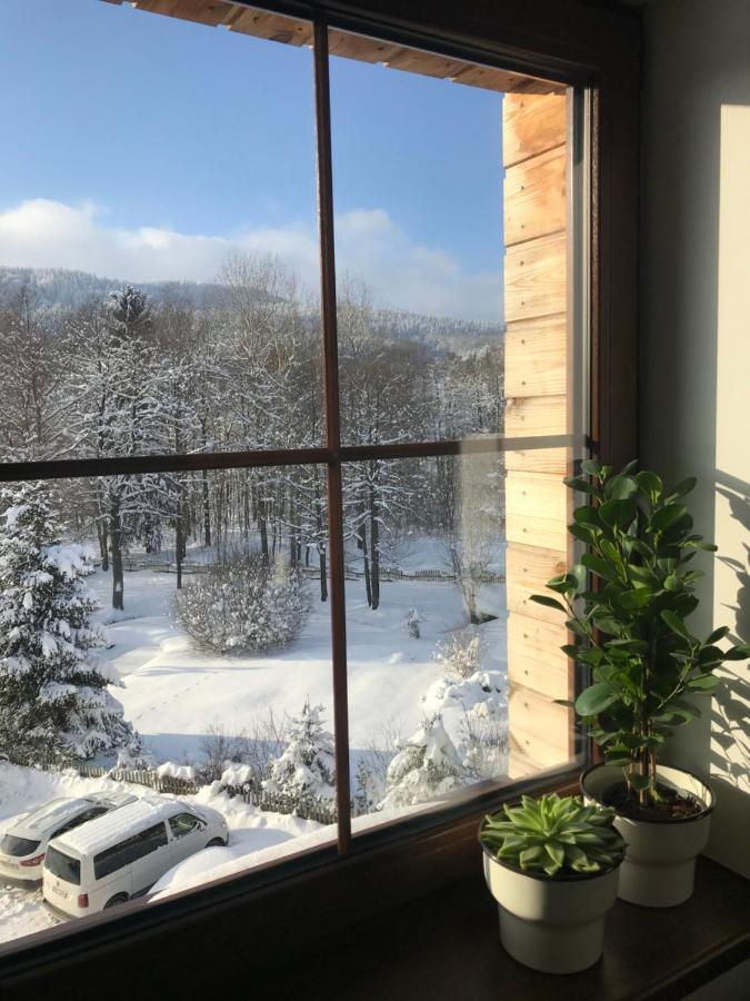 Ubytování U Potoka Destne v Orlickych horach Exterior foto