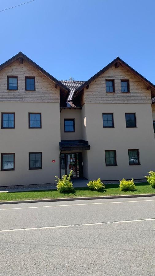 Ubytování U Potoka Destne v Orlickych horach Exterior foto