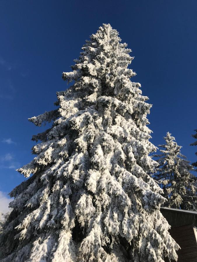 Ubytování U Potoka Destne v Orlickych horach Exterior foto
